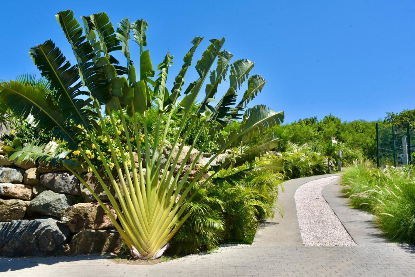 Orient Bay - Amazing Sea View - House 3Bd And 4Bd - Apartment 1 Bd Sea View - 1 Studio View Mountain Quarter of Orleans Exterior foto